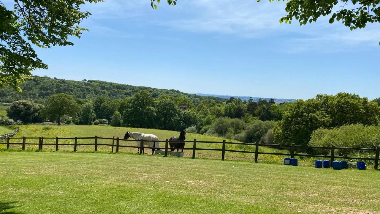 Conkers Lodge For 6 With Hot Tub & Secluded Decking - Spa Resort In Devon Chudleigh エクステリア 写真